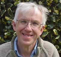 Steve Hale